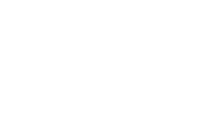 Andrew Schaw Violins